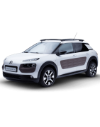 C4 CACTUS 2014 -