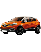 CAPTUR 2013 -