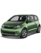 CITIGO 2011 -